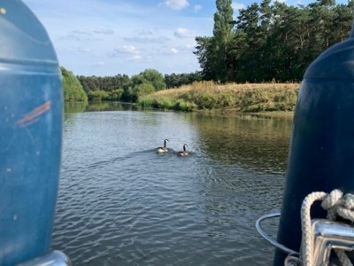 Holiday apartment "Oldau's Little Nest" - Environment photo 32