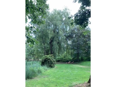 Holiday apartment "Oldau's Little Nest" - Environment photo 33