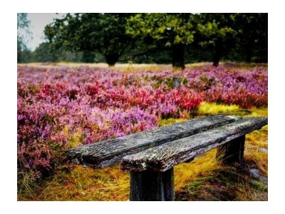 Holiday apartment "Oldau's Little Nest" - Environment photo 34