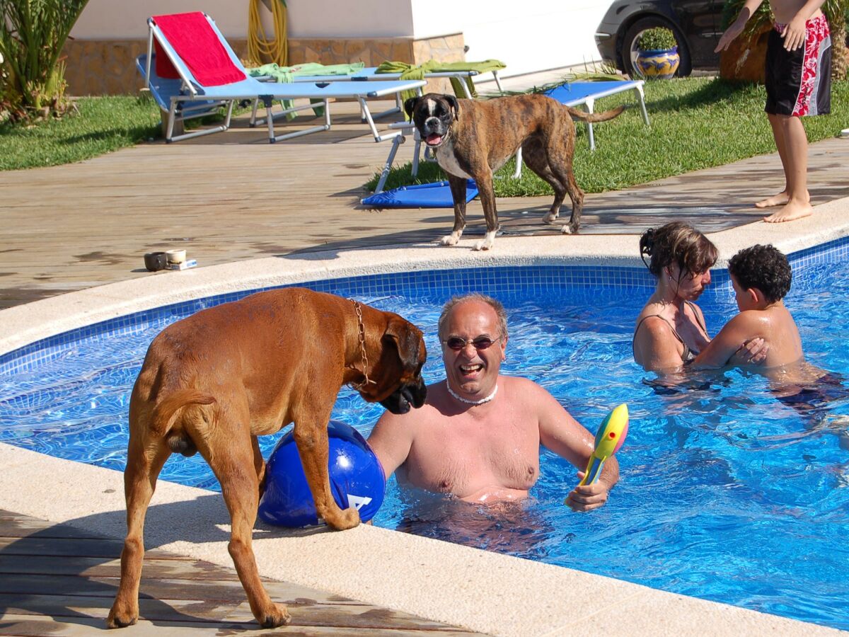 Villa Alvaro with private pool (vacation with dog) - Outdoor photo 3