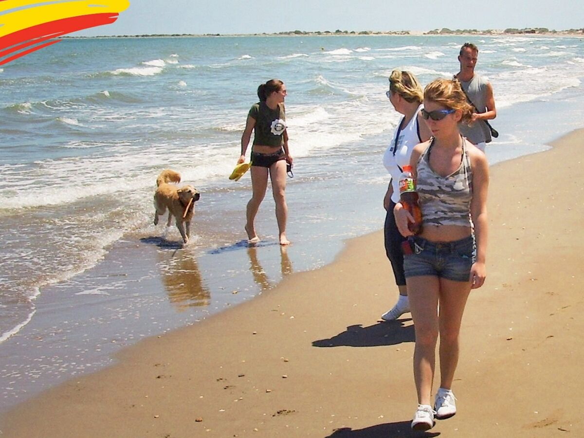 Villa Alvaro with private pool (vacation with dog) - Outdoor photo 5