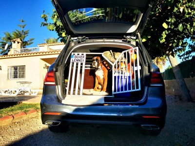 Villa Alvaro with private pool (vacation with dog) - Outdoor photo 17