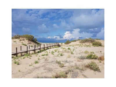 Villa Alvaro with private pool (vacation with dog) - Environment photo 40