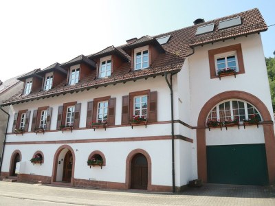 Apartment Ferienwohnungen Ries in Eußerthal - Apartment
