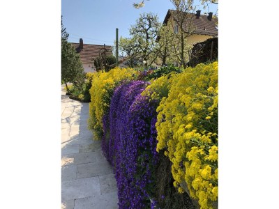 Apartment Ferienwohnungen Ries - Outdoor photo 5