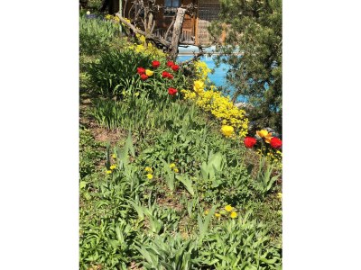 Apartment Ferienwohnungen Ries - Outdoor photo 6