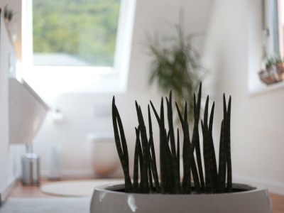 Apartment Ferienwohnungen Ries - Outdoor photo 20