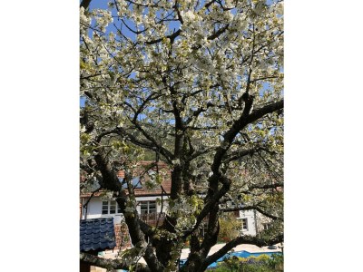 Apartment Ferienwohnungen Ries - Outdoor photo 30