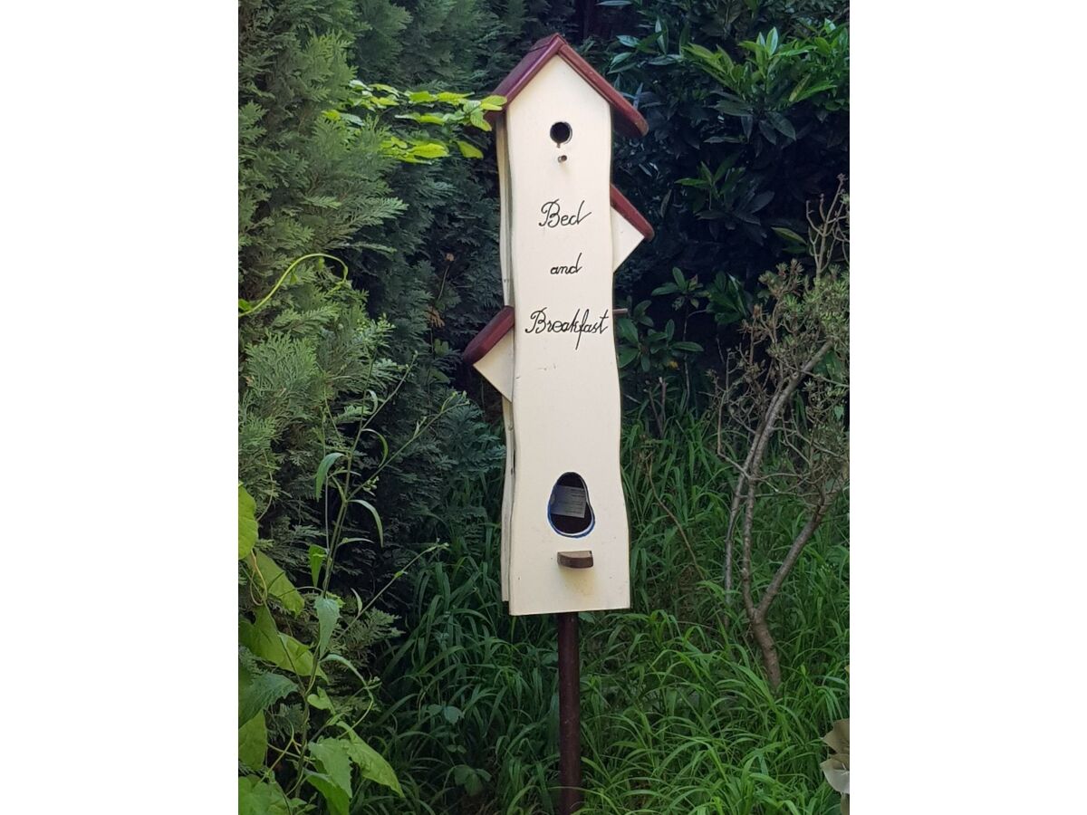 Apartment "Harmonie" Ferienwohnung bis 2 Personen - Outdoor photo 4