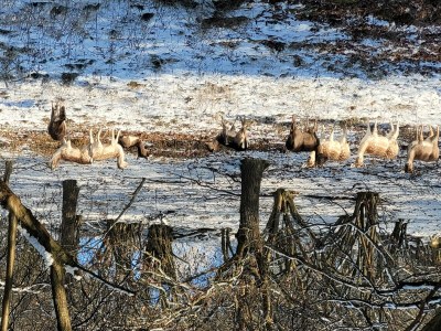 Apartment "Harmonie" Ferienwohnung bis 2 Personen - Outdoor photo 5