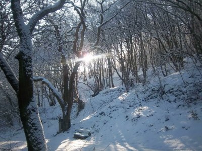 Apartment "Harmonie" Ferienwohnung bis 2 Personen - Outdoor photo 6