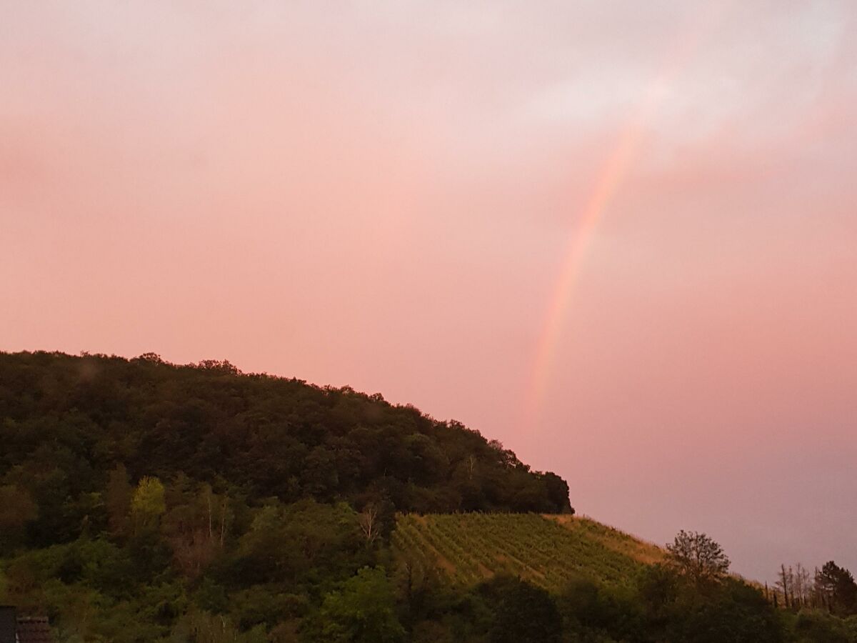 Apartment "Panorama" Ferienwohnung bis 5 Personen - Outdoor photo 4