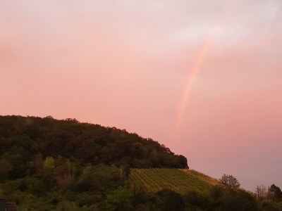Apartment "Panorama" Ferienwohnung bis 5 Personen - Outdoor photo 4