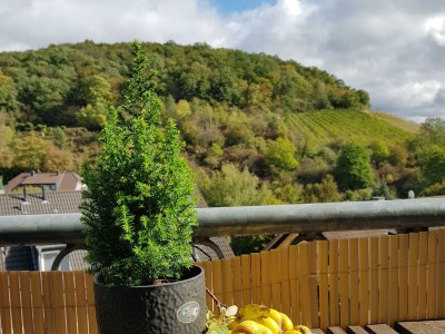 Apartment "Panorama" Ferienwohnung bis 5 Personen - Outdoor photo 5