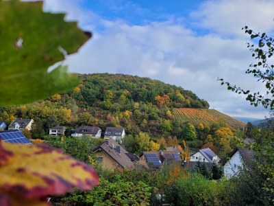 Apartment "Panorama" Ferienwohnung bis 5 Personen - Outdoor photo 17