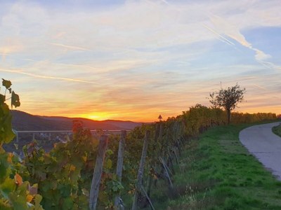 Apartment "Panorama" Ferienwohnung bis 5 Personen - Outdoor photo 19