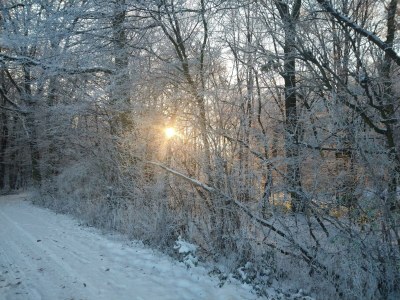 Apartment "Panorama" Ferienwohnung bis 5 Personen - Outdoor photo 21