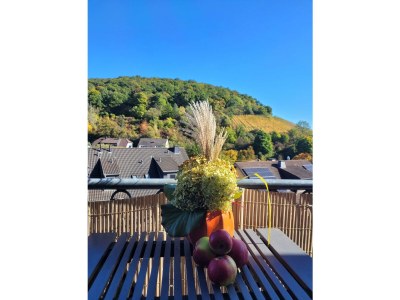 Apartment "Panorama" Ferienwohnung bis 5 Personen - Features photo 42