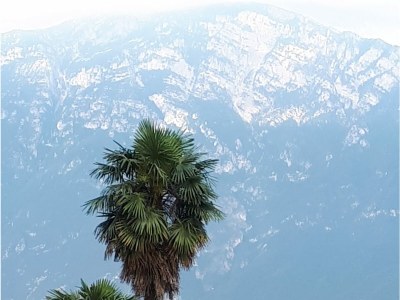 Holiday apartment Villa Romantica OG 2 - Environment photo 37