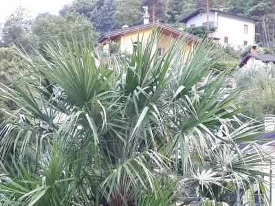 Holiday apartment Villa Romantica OG 2 - Environment photo 39