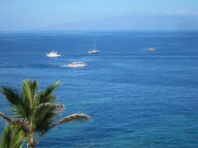 Holiday apartment Arena Negra Suites & SPA S1 - Environment photo 23