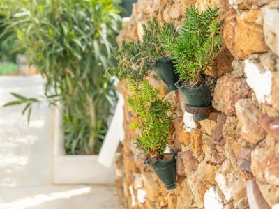 Finca CASA DINA - Outdoor photo 8