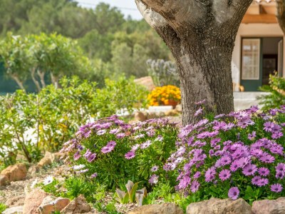 Finca CASA DINA - Outdoor photo 20