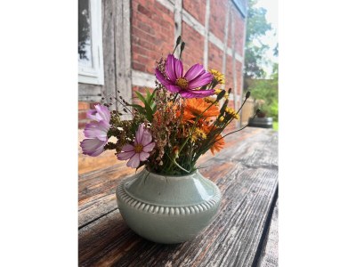 Holiday house Wendlandhof Lüggau - Outdoor photo 11