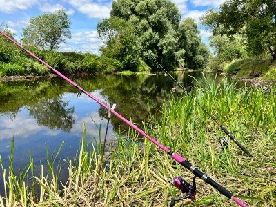 Holiday house Wendlandhof Lüggau - Environment photo 40