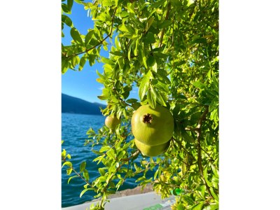 Holiday house Lake House Tignale - Outdoor photo 13