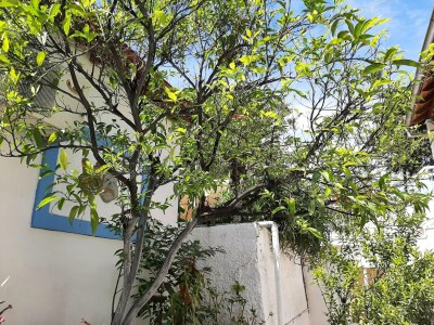 Apartment Romantic apartment in Mpenitses with shared pool - Outdoor photo 9