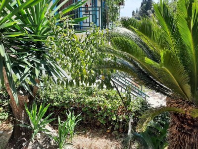 Apartment Romantic apartment in Mpenitses with shared pool - Outdoor photo 37