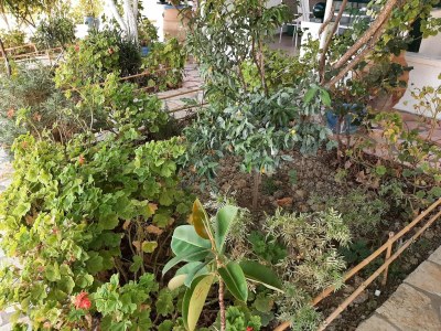 Apartment Andromaches Apartments Studio for 2 - Outdoor photo 29