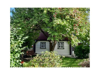 Holiday house Uhuhäus'l - Outdoor photo 9