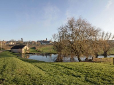 Cottage Mansion in Burgundy near Morvan Natural Park - Environment photo 34