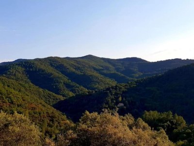 Holiday house Seigneulles Gartenflucht - Environment photo 34