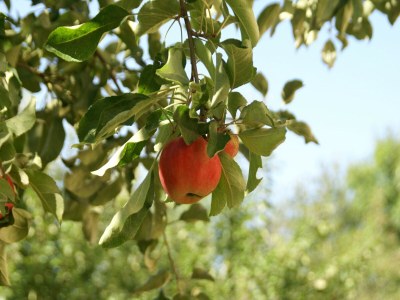 Holiday house Seigneulles Gartenflucht - Outdoor photo 39