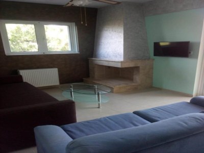 Apartment Apartment in Rafina with Garden & BBQ - Features photo 17