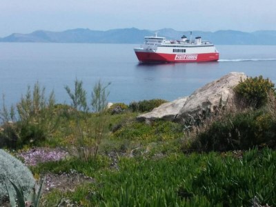 Apartment Apartment in Rafina with Garden & BBQ - Environment photo 25