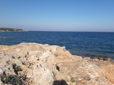 Apartment Apartment in Rafina with Garden & BBQ - Environment photo 26