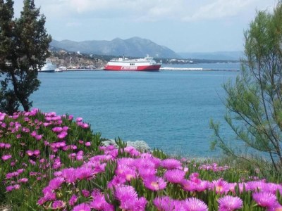 Apartment Apartment in Rafina with Garden & BBQ - Environment photo 34