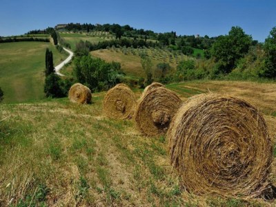 Farmhouse Bauernhaus in Paciano mit Pool & Aussicht - Environment photo 22
