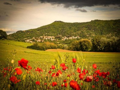 Farmhouse Bauernhaus in Paciano mit Pool & Aussicht - Environment photo 24