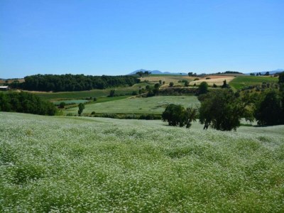 Farmhouse Bauernhaus in Paciano mit Pool & Aussicht - Environment photo 29