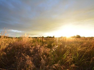 Farmhouse Bauernhaus in Paciano mit Pool & Aussicht - Environment photo 36