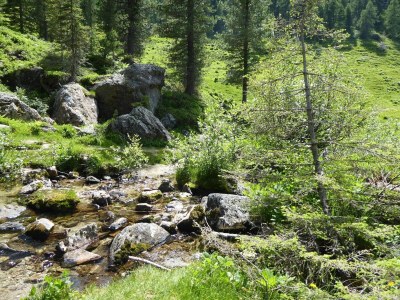 Holiday house Family Retreat near Garda - Environment photo 36