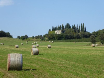 Holiday house Family Retreat near Garda - Environment photo 38