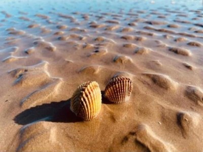 Apartment Apartment am Strand von Marotta - Environment photo 39