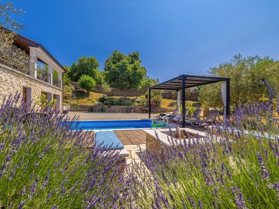 Holiday house Franolic with swimming pool - Outdoor photo 8