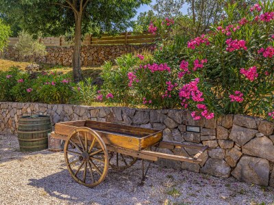 Holiday house Franolic with swimming pool - Outdoor photo 9